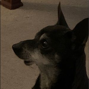 Meet your Posher, Alaina